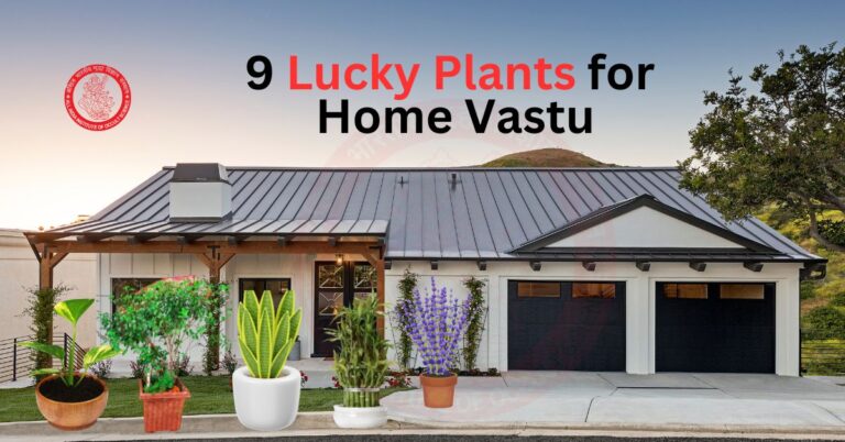 Lucky Plants for Home Vastu