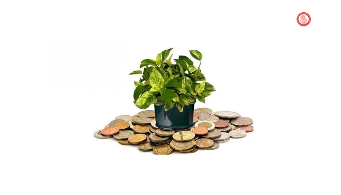 Vastu Tips to Maintain Finances