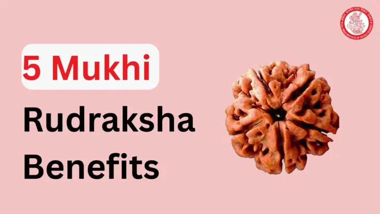 5 Mukhi Rudraksha Benefits