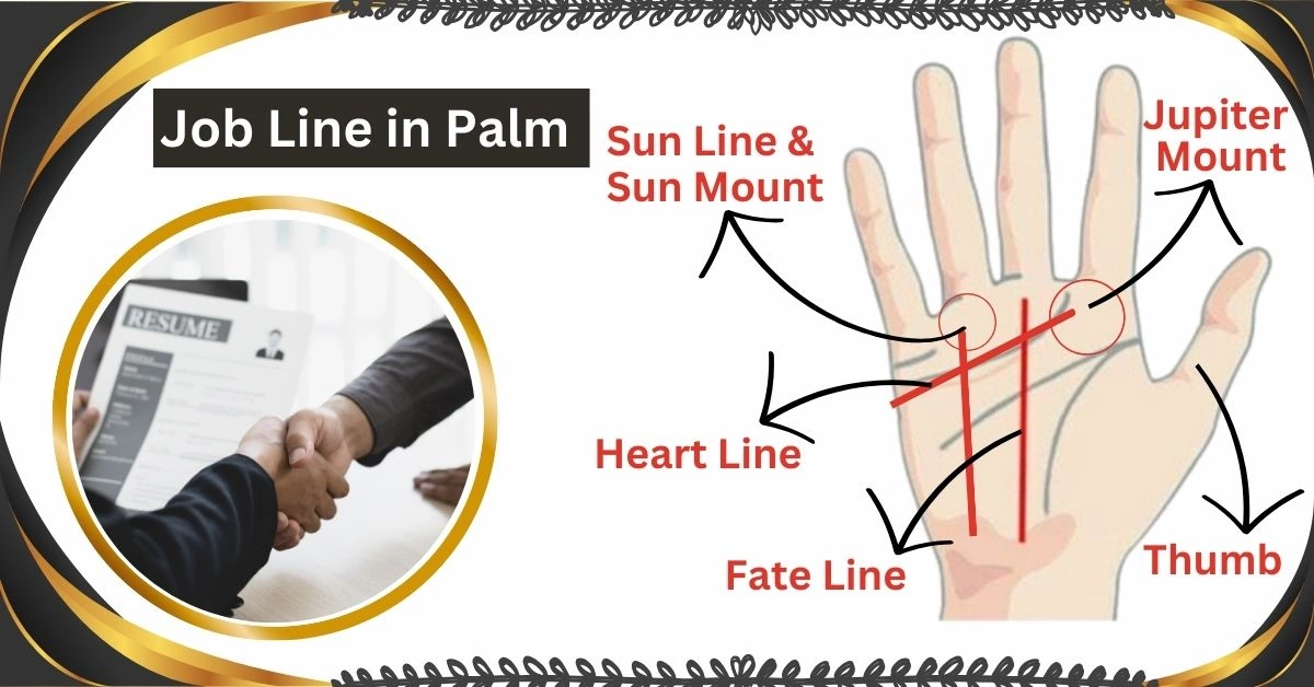 Job Line in Your Palm