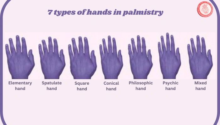 7 types of hands & palm line in palmistry