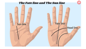 palm line