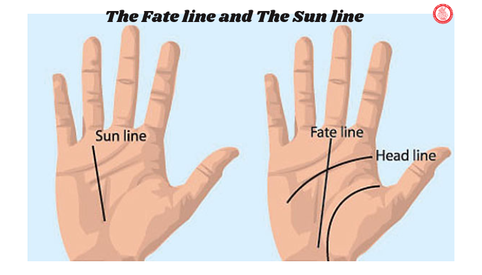 Palm Line: The Fate line and The Sun line