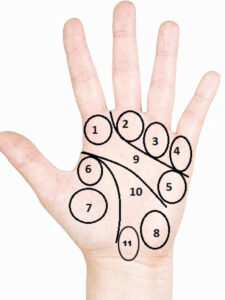 hast rekha shastra indian palmistry