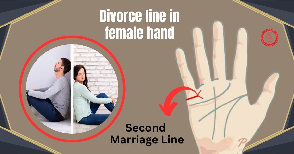Divorce line in female hand | Second marriage line in female hand