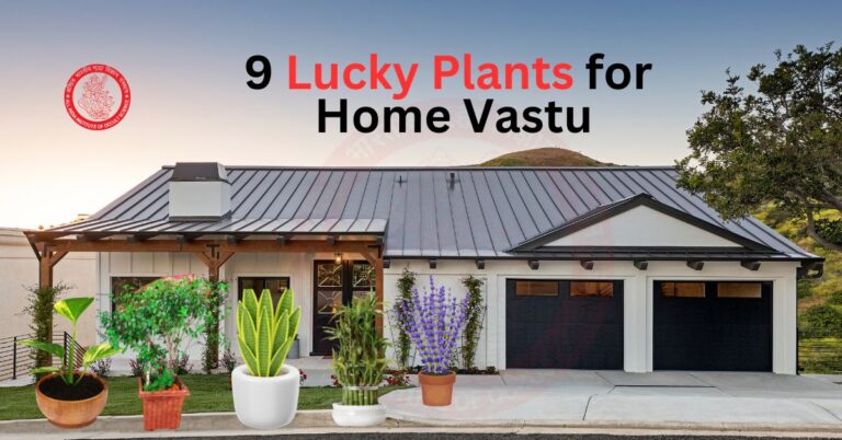 Lucky Plants for home vastu