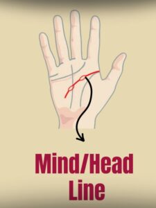 Mind Line