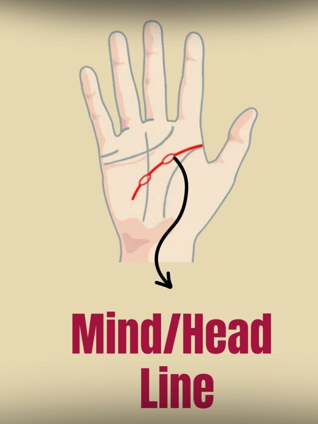 Decoding Wealth through Mind Line in Palmistry
