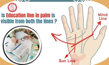 How to Read Study/Education Line in Palm?