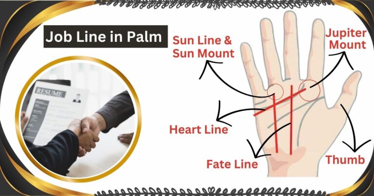 Job/Career line in palm