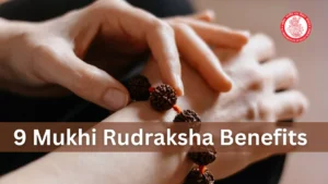 9 mukhi rudraksha benefits