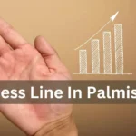 Success Line Palmistry