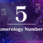 numerology number 5