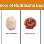 rudraksha beads