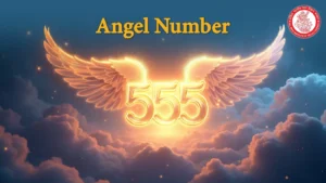 555 angel number meaning