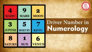 driver number in numerology