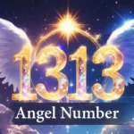 1313 Angel Number