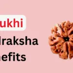5 mukhi rudraksha benefits